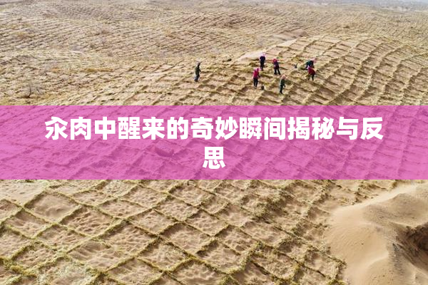 汆肉中醒来的奇妙瞬间揭秘与反思