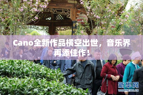 Cano全新作品横空出世，音乐界再添佳作！