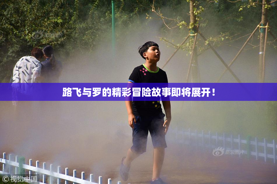 路飞与罗的精彩冒险故事即将展开！