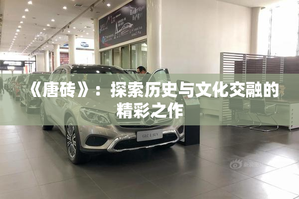 《唐砖》：探索历史与文化交融的精彩之作