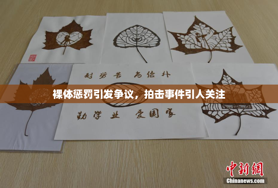 裸体惩罚引发争议，拍击事件引人关注