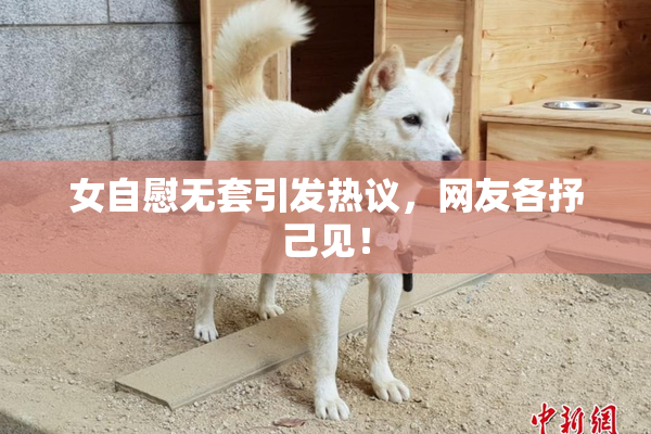 女自慰无套引发热议，网友各抒己见！
