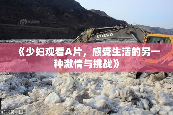《少妇观看A片，感受生活的另一种激情与挑战》