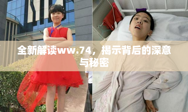全新解读ww.74，揭示背后的深意与秘密