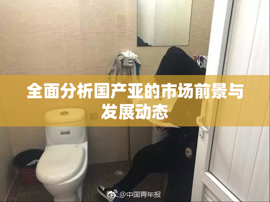 全面分析国产亚的市场前景与发展动态