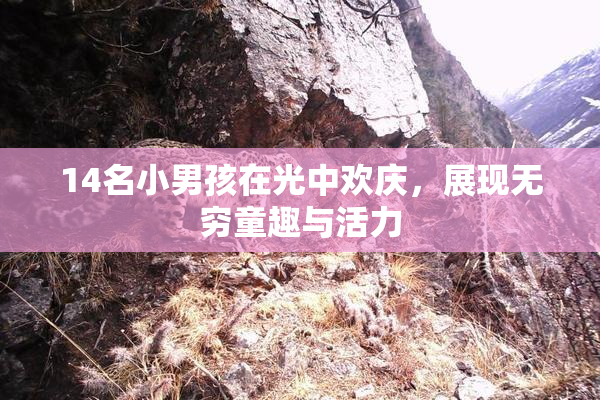 14名小男孩在光中欢庆，展现无穷童趣与活力