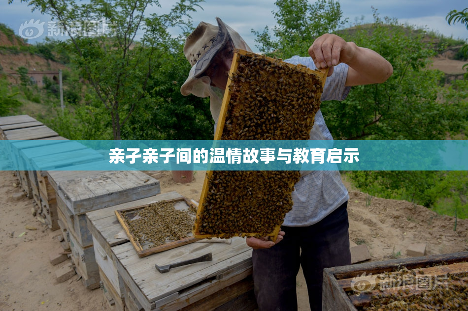 亲孑亲子间的温情故事与教育启示