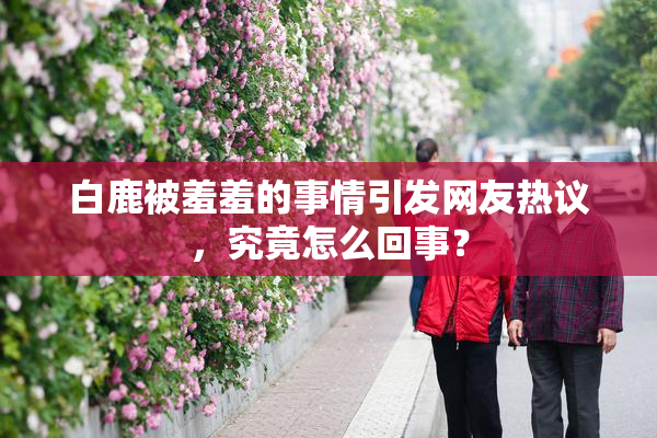白鹿被羞羞的事情引发网友热议，究竟怎么回事？