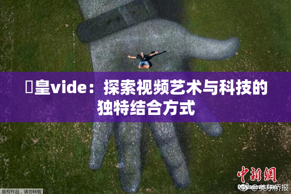 嘼皇vide：探索视频艺术与科技的独特结合方式