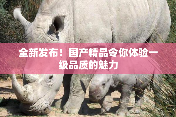 全新发布！国产精品令你体验一级品质的魅力
