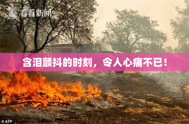 含泪颤抖的时刻，令人心痛不已！