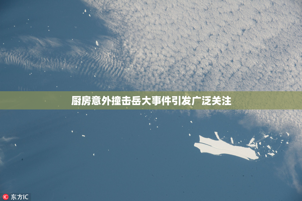 厨房意外撞击岳大事件引发广泛关注