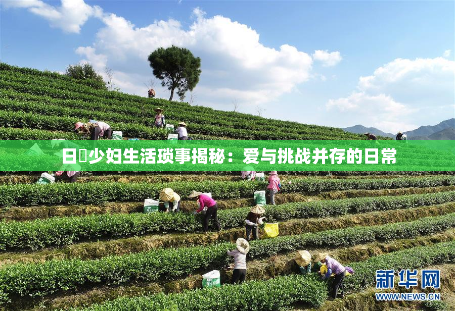 日夲少妇生活琐事揭秘：爱与挑战并存的日常