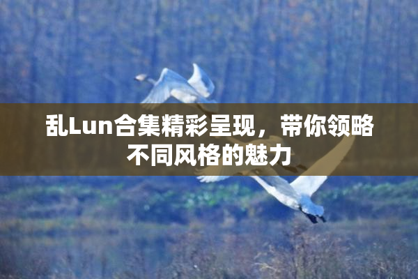 乱Lun合集精彩呈现，带你领略不同风格的魅力