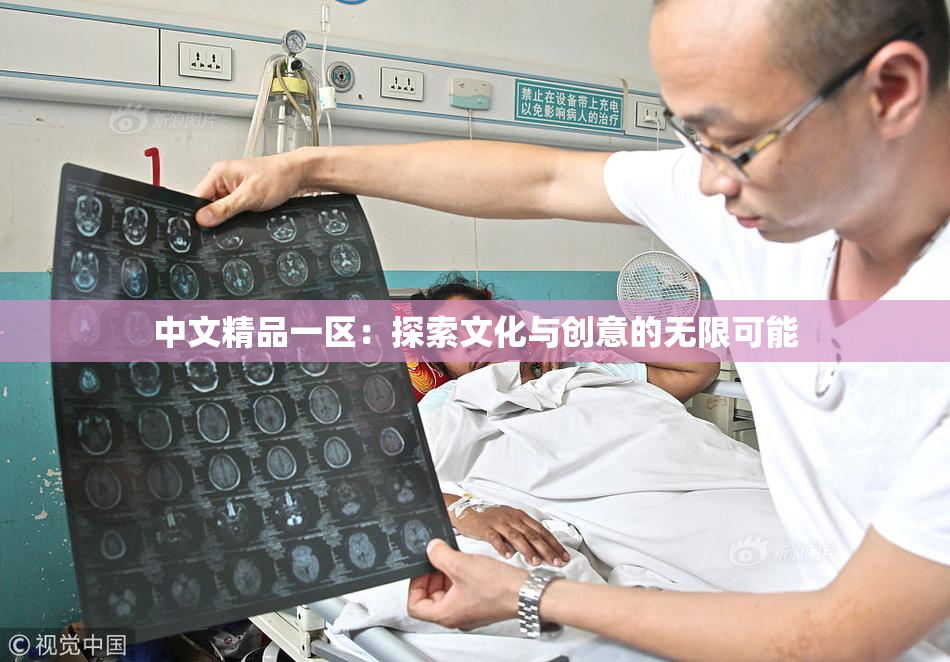中文精品一区：探索文化与创意的无限可能