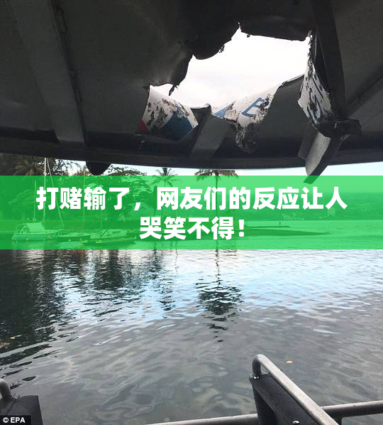 打赌输了，网友们的反应让人哭笑不得！