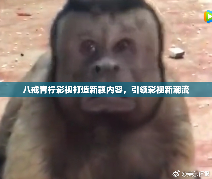 八戒青柠影视打造新颖内容，引领影视新潮流