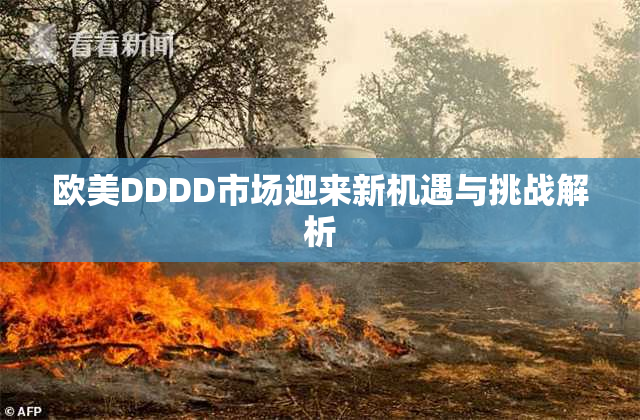 欧美DDDD市场迎来新机遇与挑战解析