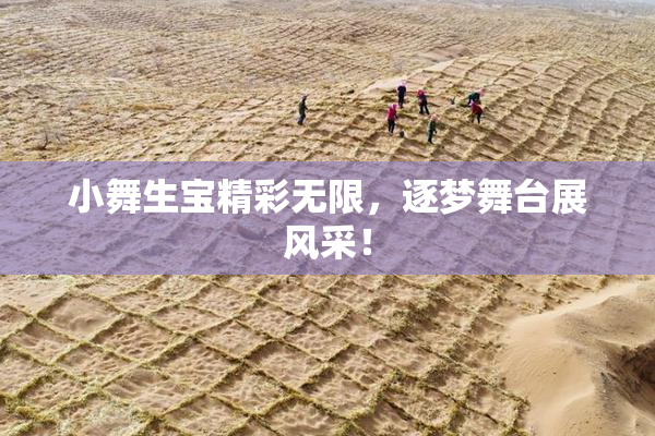 小舞生宝精彩无限，逐梦舞台展风采！