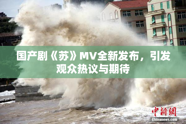 国产剧《苏》MV全新发布，引发观众热议与期待