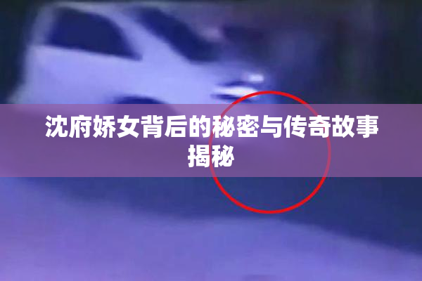 沈府娇女背后的秘密与传奇故事揭秘