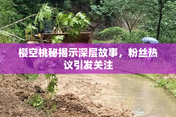 樱空桃秘揭示深层故事，粉丝热议引发关注