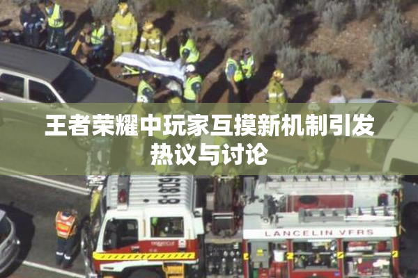 王者荣耀中玩家互摸新机制引发热议与讨论