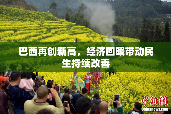 巴西再创新高，经济回暖带动民生持续改善
