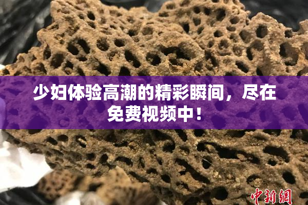 少妇体验高潮的精彩瞬间，尽在免费视频中！