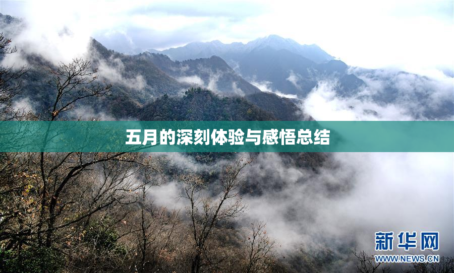 五月的深刻体验与感悟总结