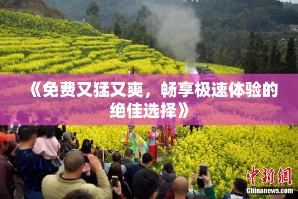 《免费又猛又爽，畅享极速体验的绝佳选择》