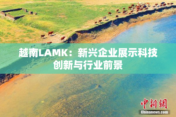 越南LAMK：新兴企业展示科技创新与行业前景