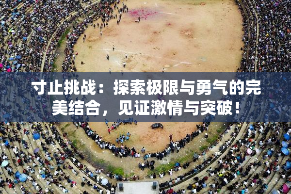 寸止挑战：探索极限与勇气的完美结合，见证激情与突破！