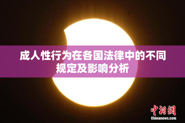 成人性行为在各国法律中的不同规定及影响分析