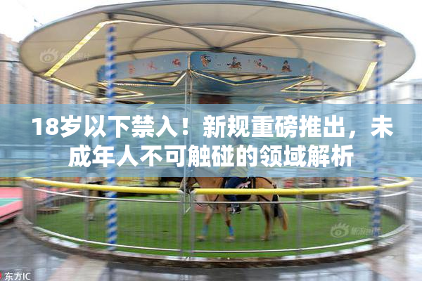 18岁以下禁入！新规重磅推出，未成年人不可触碰的领域解析