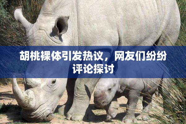 胡桃裸体引发热议，网友们纷纷评论探讨