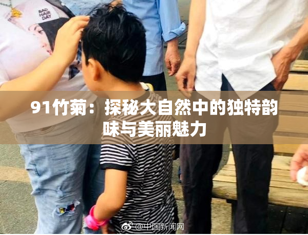 91竹菊：探秘大自然中的独特韵味与美丽魅力