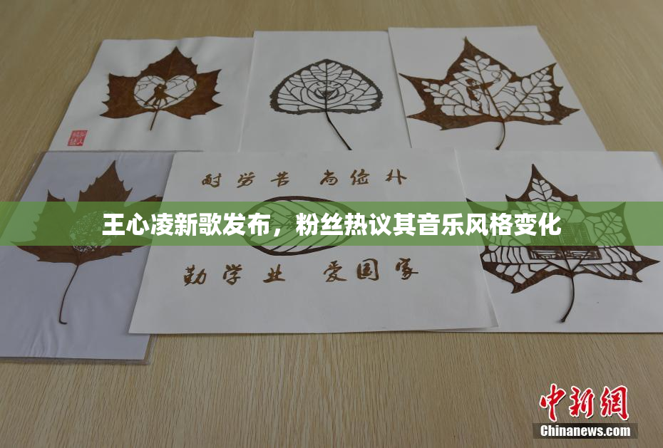王心凌新歌发布，粉丝热议其音乐风格变化