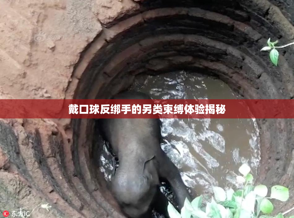戴口球反绑手的另类束缚体验揭秘