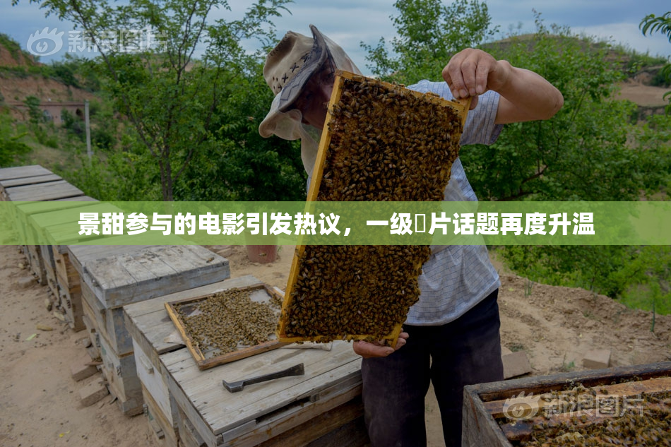 景甜参与的电影引发热议，一级婬片话题再度升温