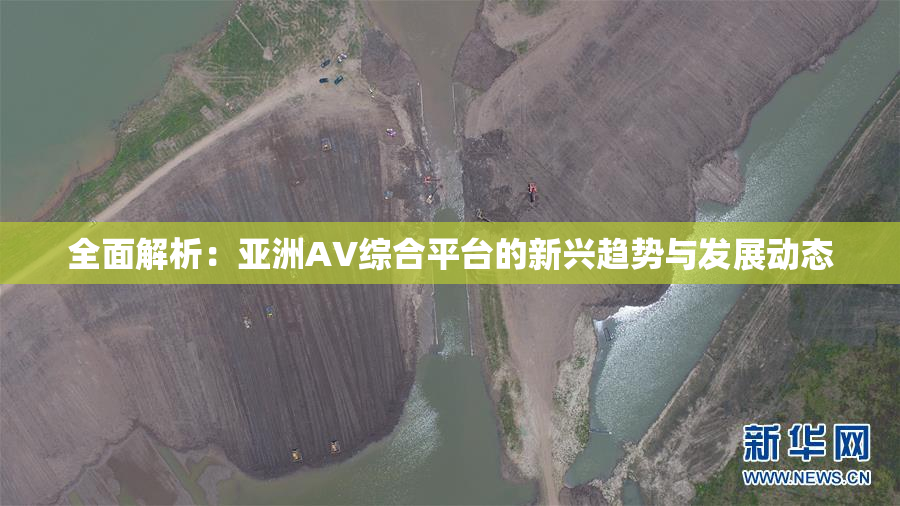 全面解析：亚洲AV综合平台的新兴趋势与发展动态