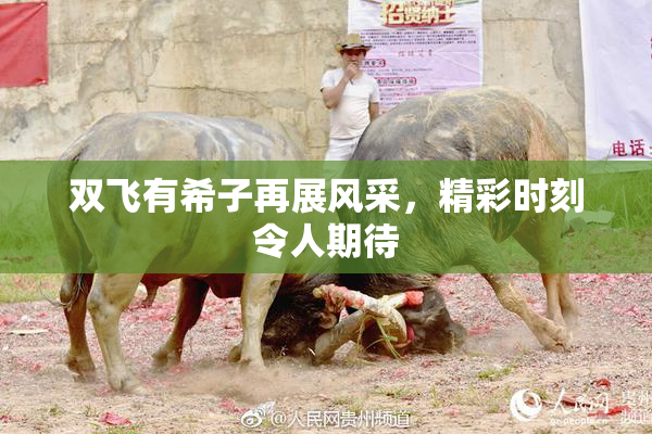 双飞有希子再展风采，精彩时刻令人期待