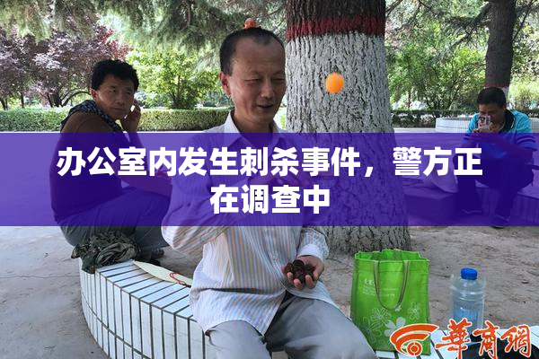 办公室内发生刺杀事件，警方正在调查中