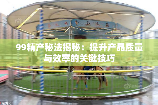 99精产秘法揭秘：提升产品质量与效率的关键技巧