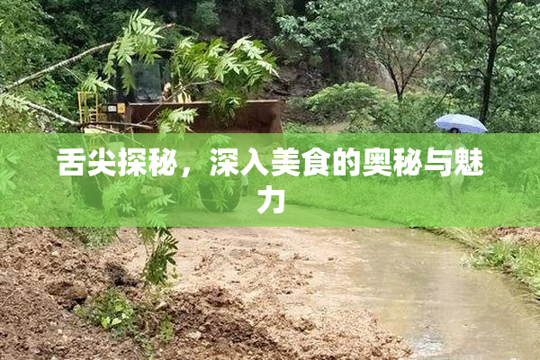 舌尖探秘，深入美食的奥秘与魅力