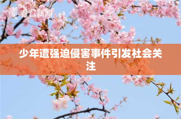 少年遭强迫侵害事件引发社会关注