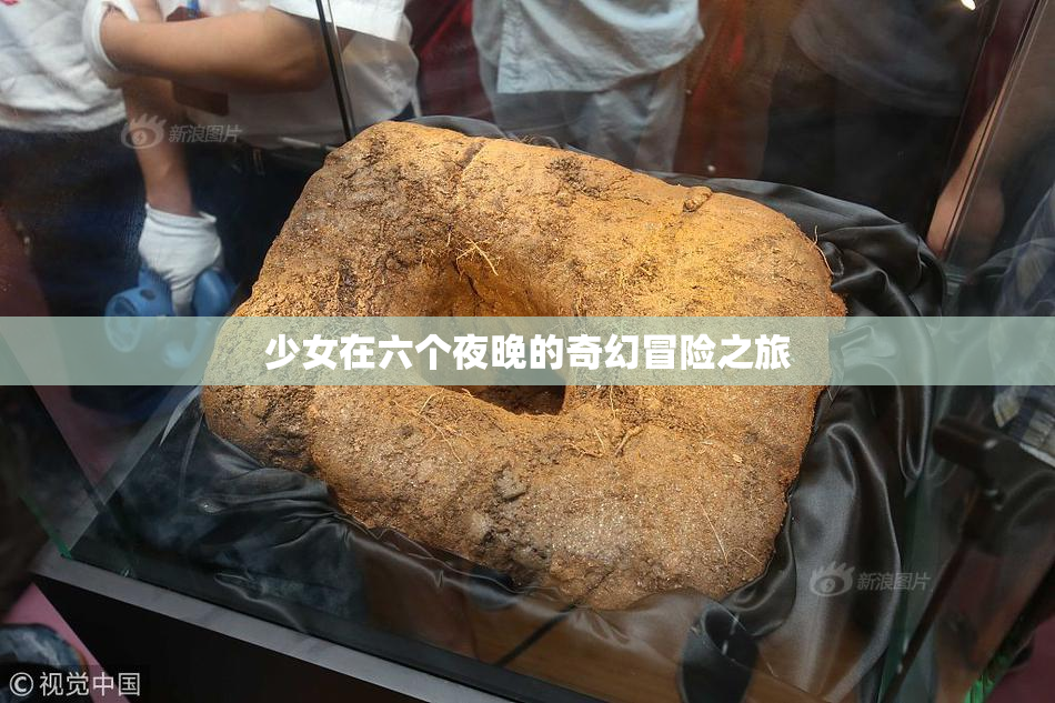 少女在六个夜晚的奇幻冒险之旅
