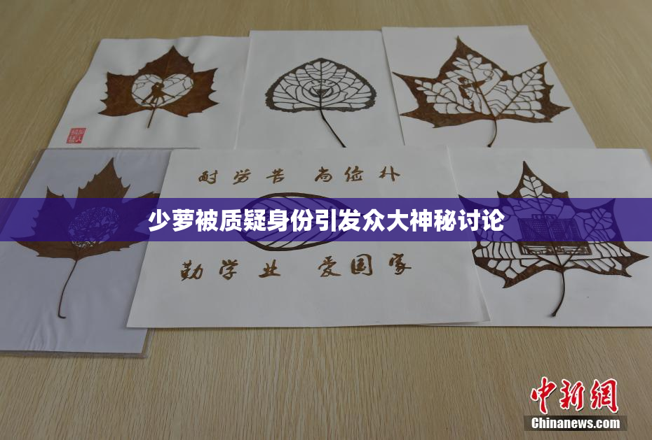 少萝被质疑身份引发众大神秘讨论