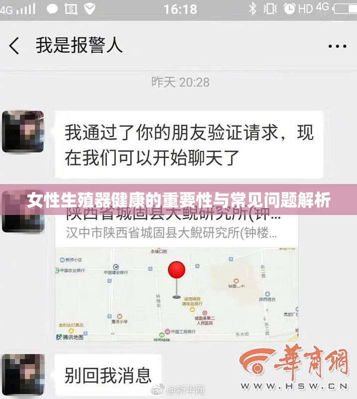 女性生殖器健康的重要性与常见问题解析