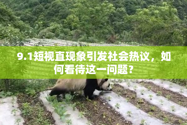 9.1短视直现象引发社会热议，如何看待这一问题？